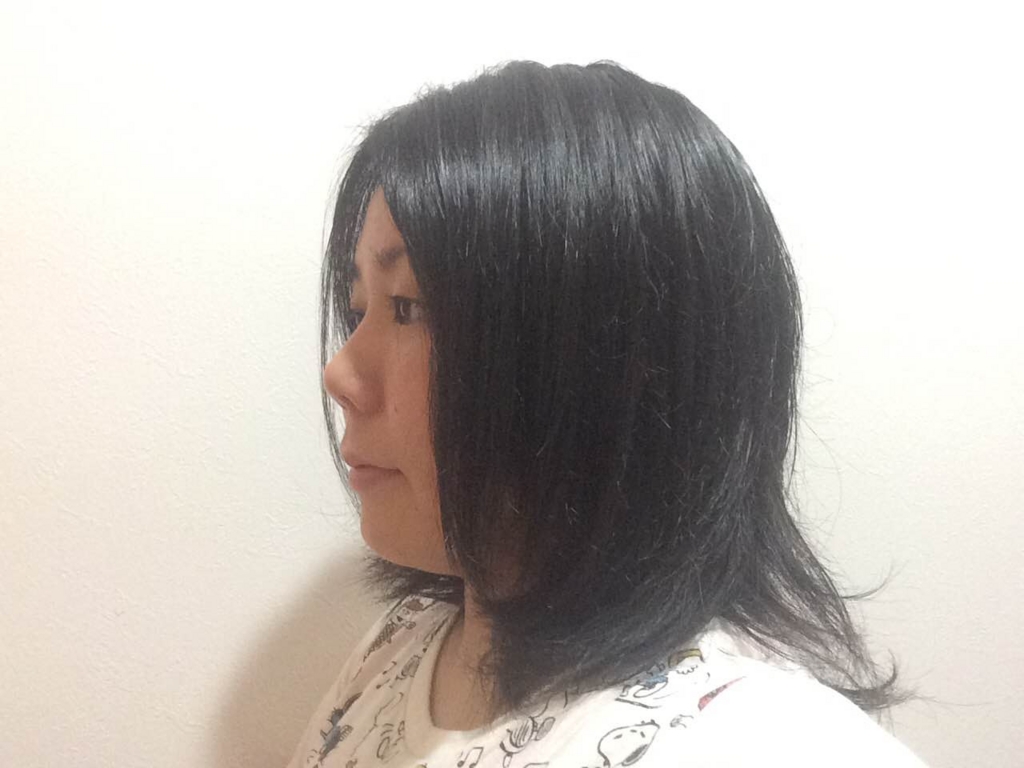 f:id:ponparemall:20161024120853j:plain