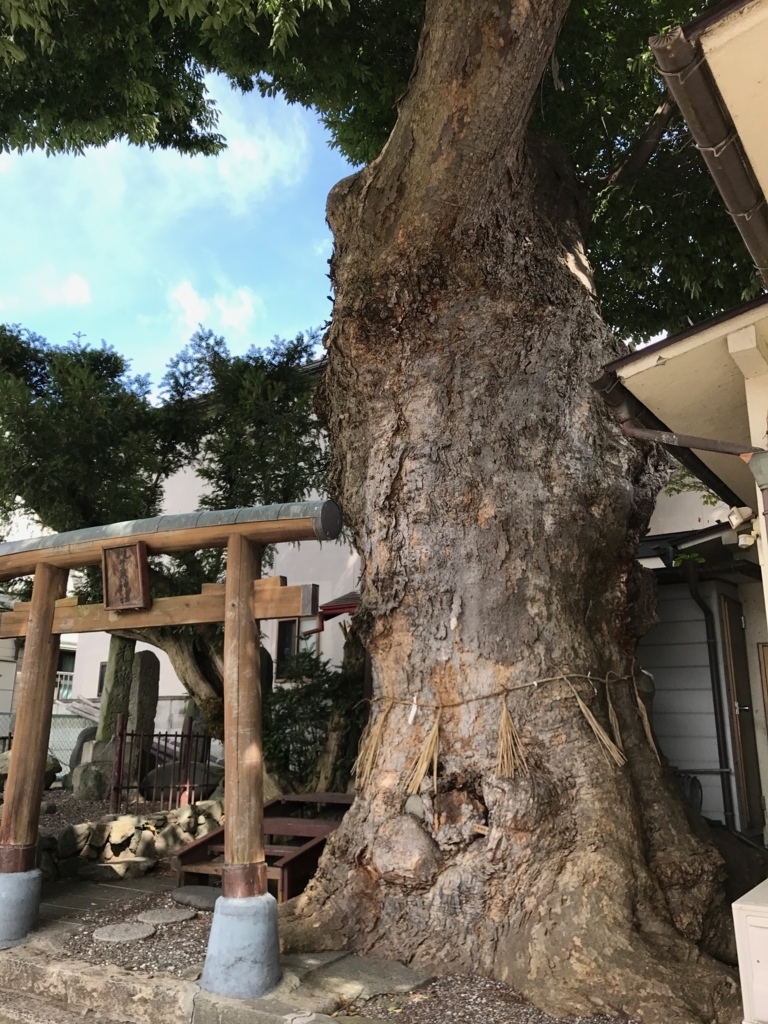 f:id:ponpoko1968:20170823140828j:plain