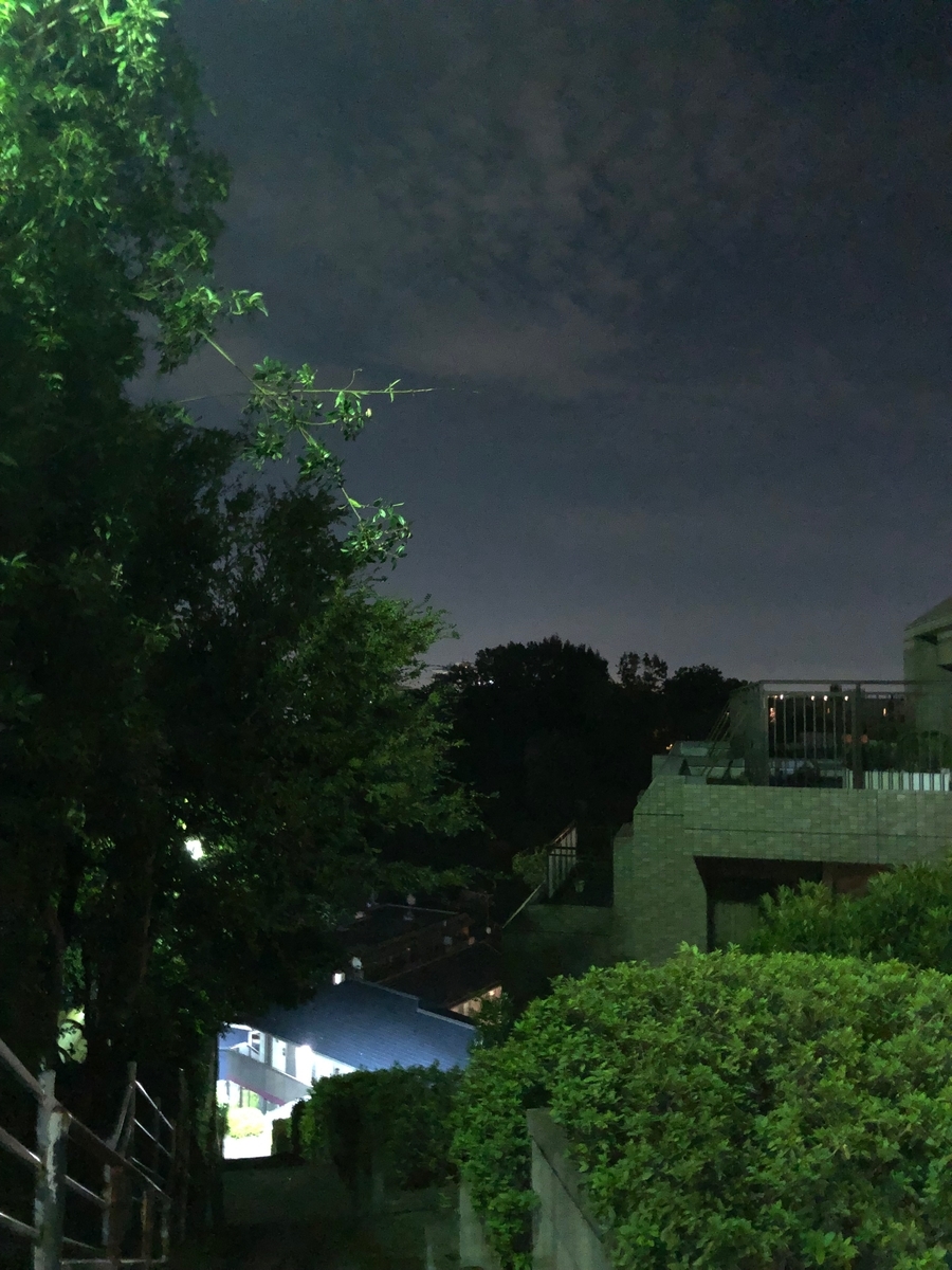 f:id:ponpokosan:20191003235833j:plain