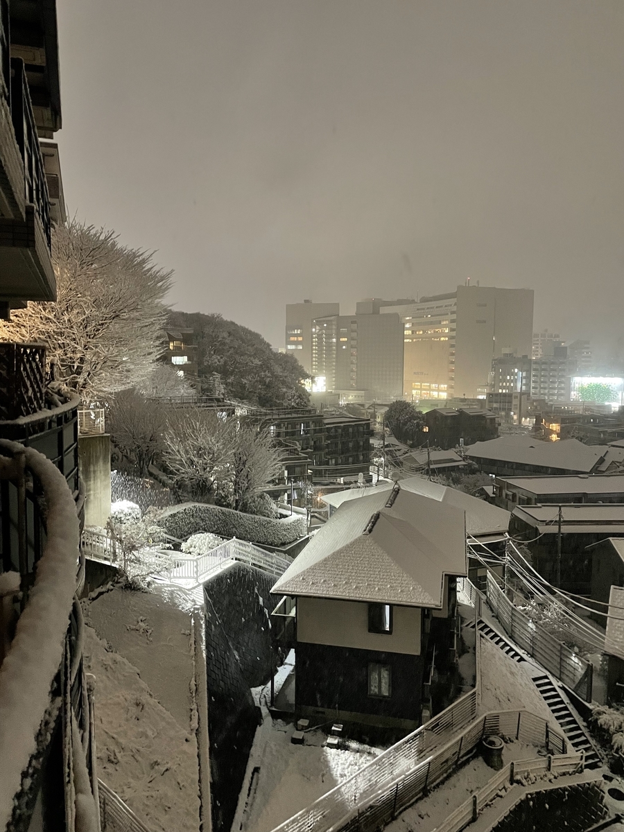 f:id:ponpokosan:20220107183323j:plain