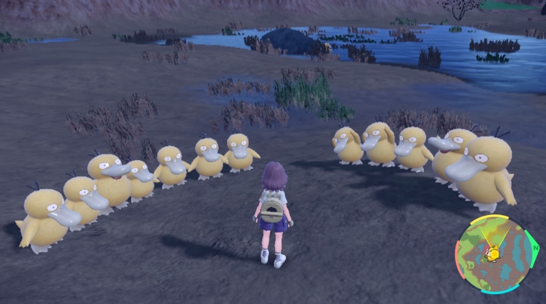ポケモンSV】色違いコダック6匹get、真っ青ピクニック - ぽんずlog