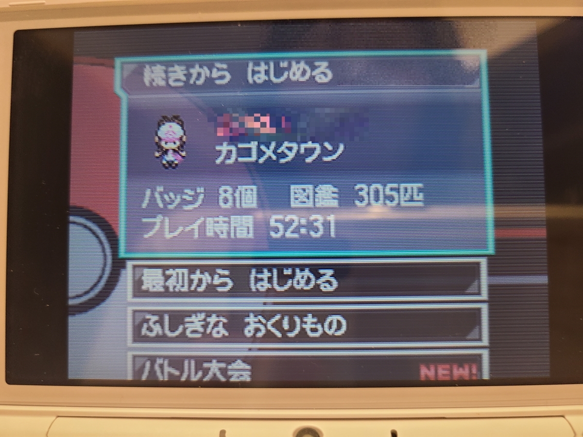 家に眠っていたレシラムです