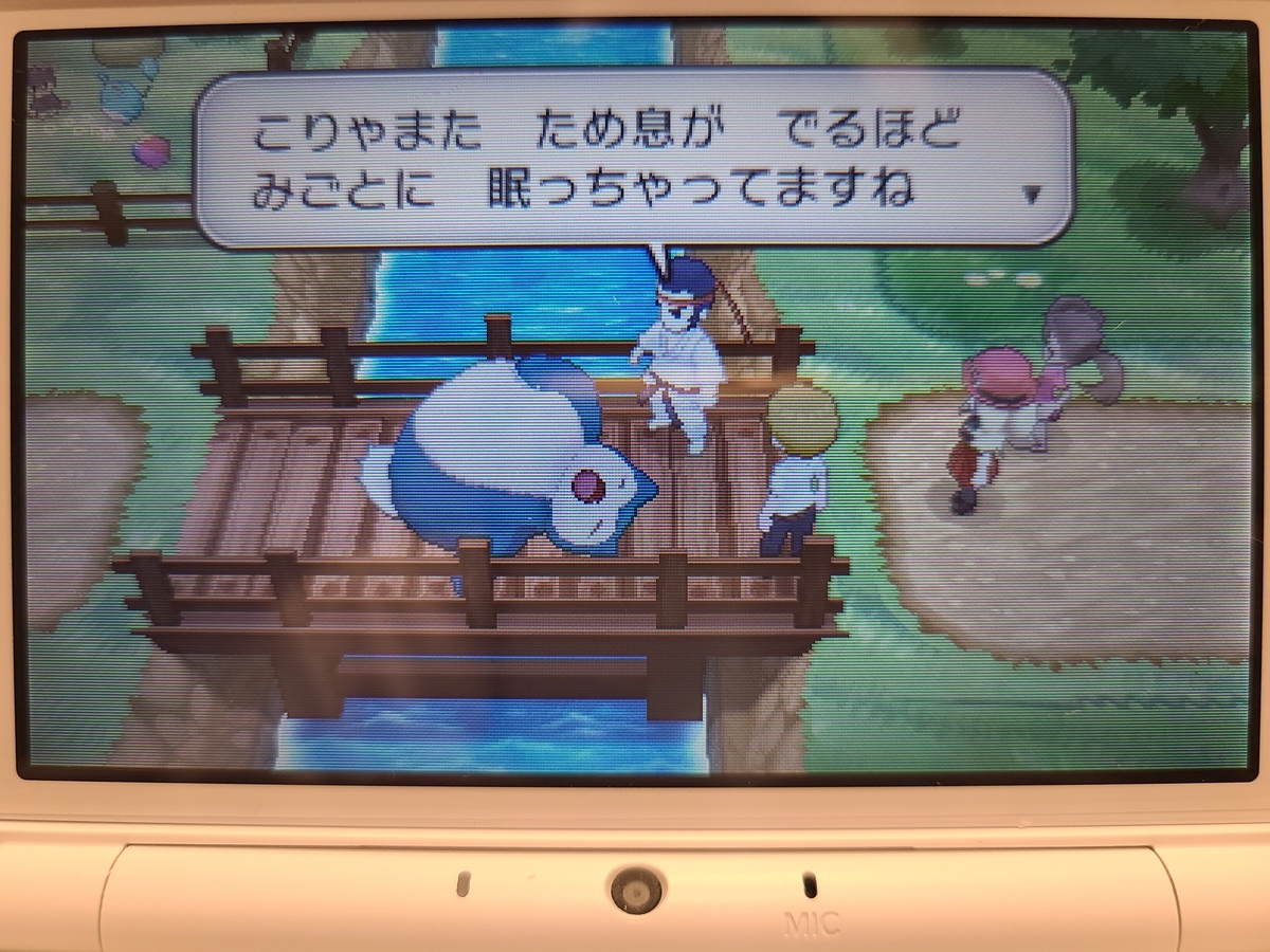 家に眠っていたレシラムです 家に眠っていたレシラムです