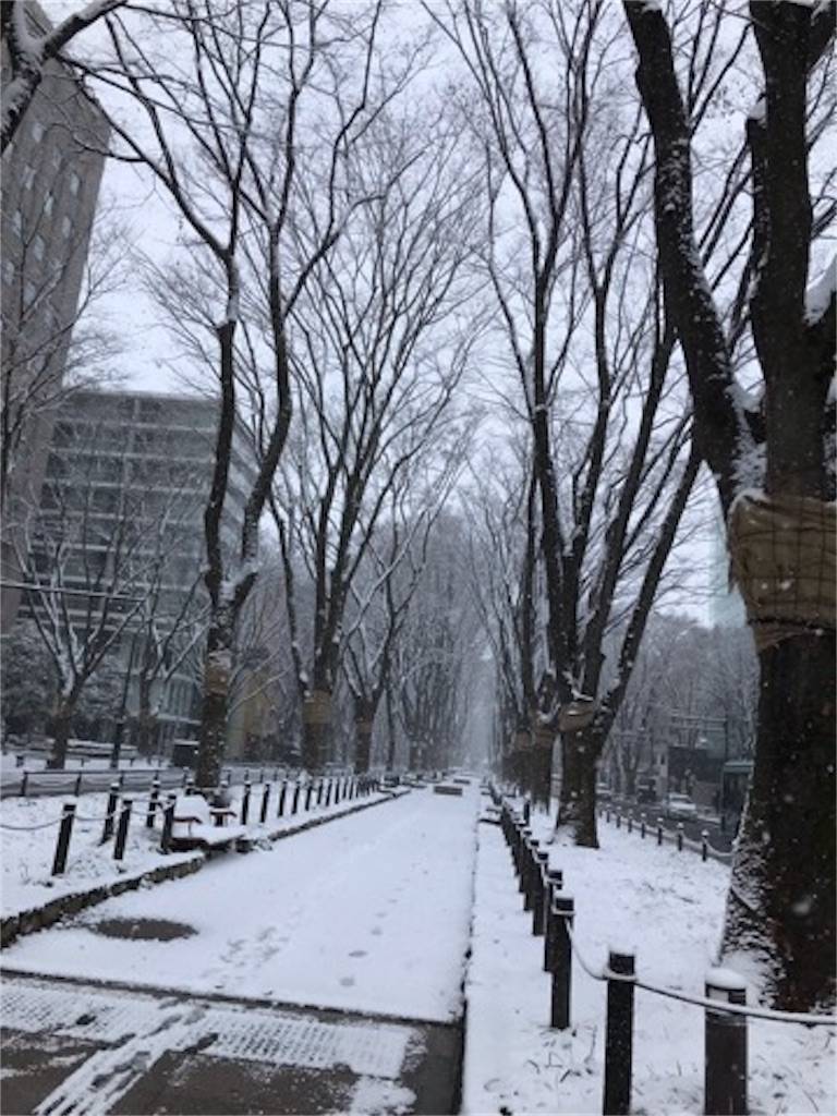 f:id:ponpon825:20191207012715j:image f:id:ponpon825:20191207012715j:image