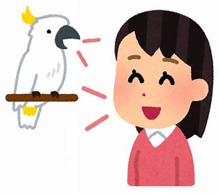 f:id:ponponponde:20201203010017j:plain