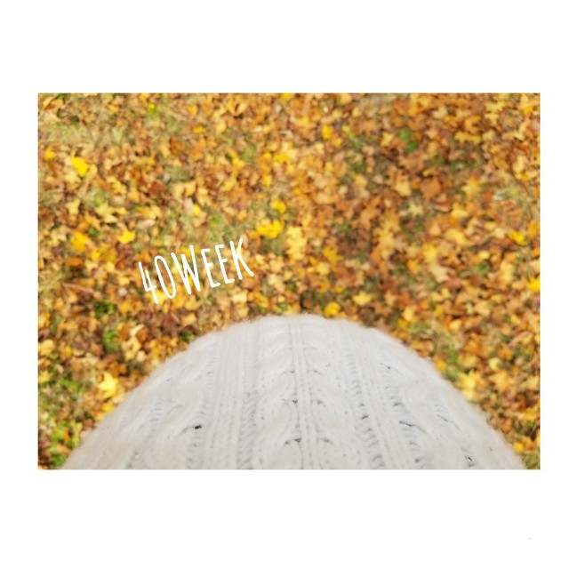 f:id:ponsmama:20191213232725j:image f:id:ponsmama:20191213232725j:image