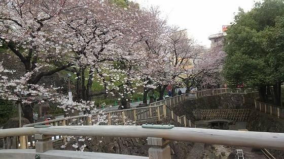 f:id:ponsuke_tarou:20190314231009p:plain f:id:ponsuke_tarou:20190314231009p:plain