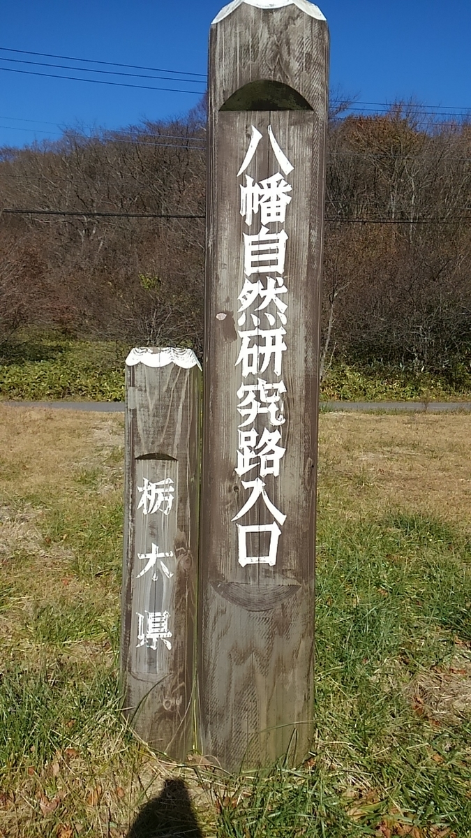 f:id:ponsuke_tarou:20190603204533j:plain f:id:ponsuke_tarou:20190603204533j:plain