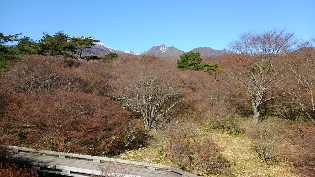 f:id:ponsuke_tarou:20190930231956j:plain