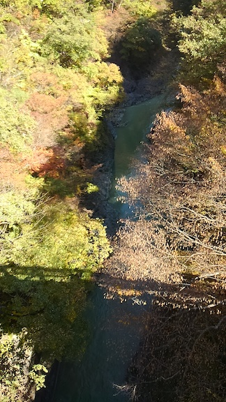 f:id:ponsuke_tarou:20191019121914p:plain f:id:ponsuke_tarou:20191019121914p:plain