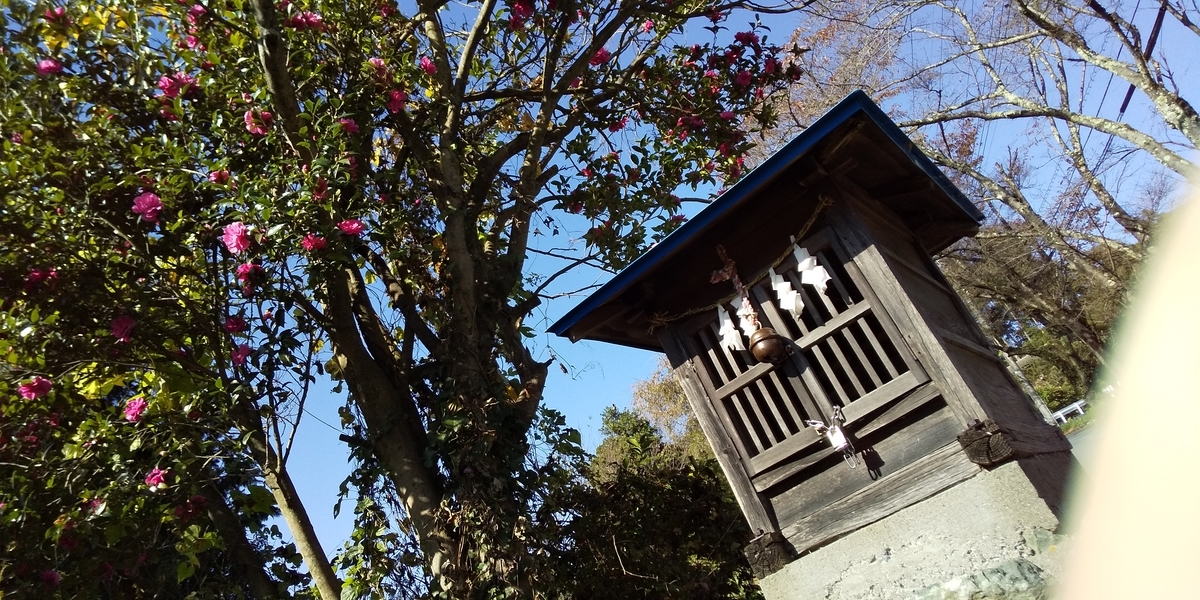 f:id:ponsuke_tarou:20201102072336j:plain f:id:ponsuke_tarou:20201102072336j:plain