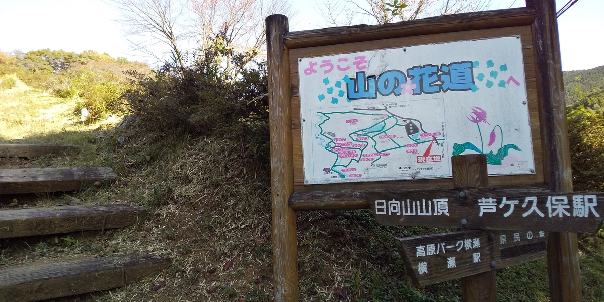 f:id:ponsuke_tarou:20201102073022j:plain f:id:ponsuke_tarou:20201102073022j:plain