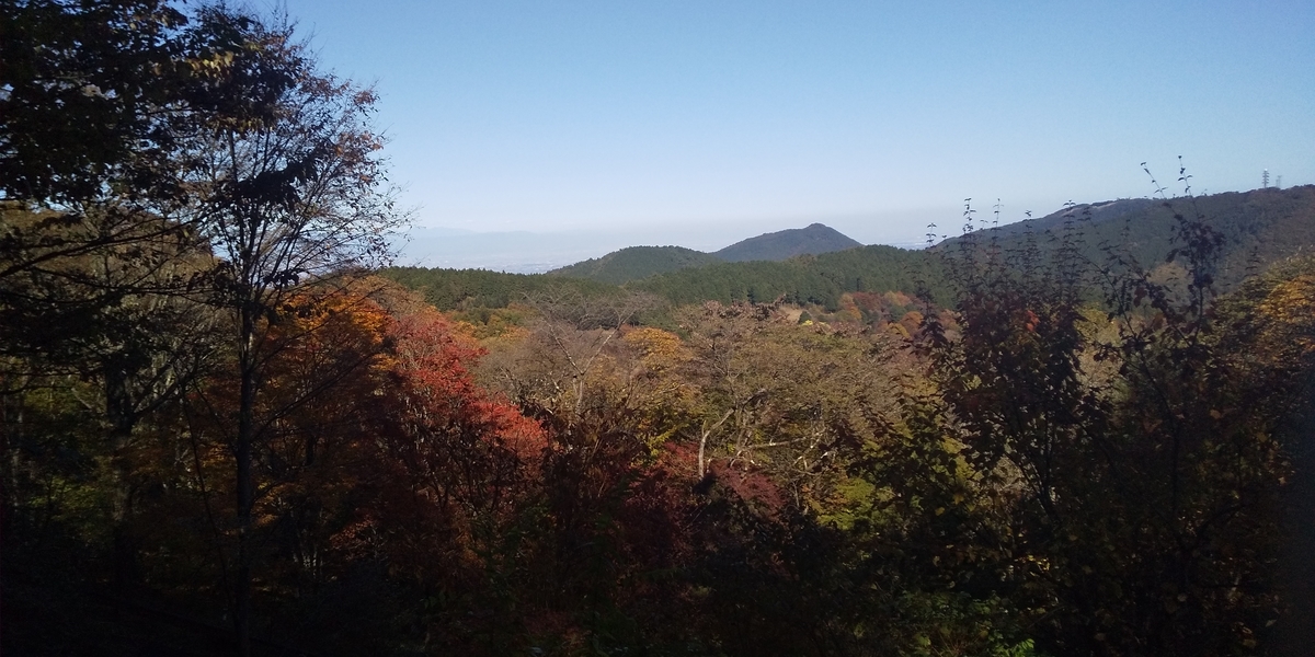 f:id:ponsuke_tarou:20201102075139j:plain f:id:ponsuke_tarou:20201102075139j:plain