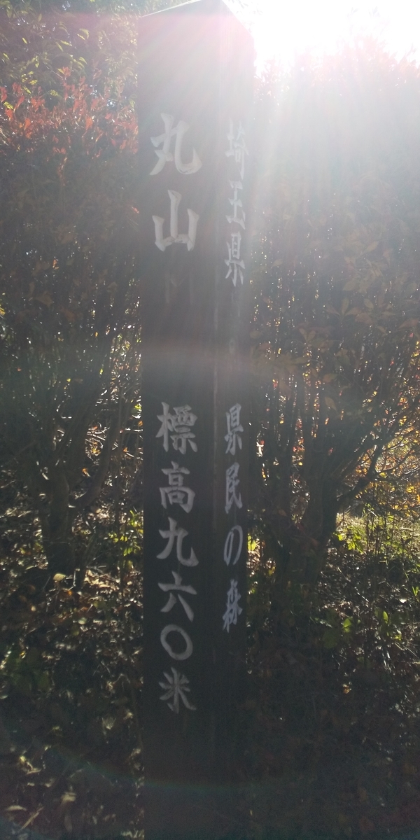 f:id:ponsuke_tarou:20201102075231j:plain f:id:ponsuke_tarou:20201102075231j:plain