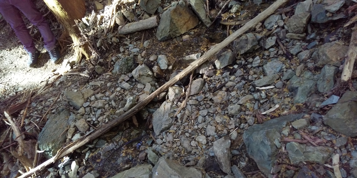 f:id:ponsuke_tarou:20201102080534j:plain f:id:ponsuke_tarou:20201102080534j:plain