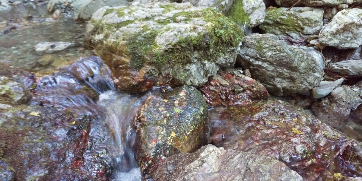 f:id:ponsuke_tarou:20201102080816j:plain f:id:ponsuke_tarou:20201102080816j:plain