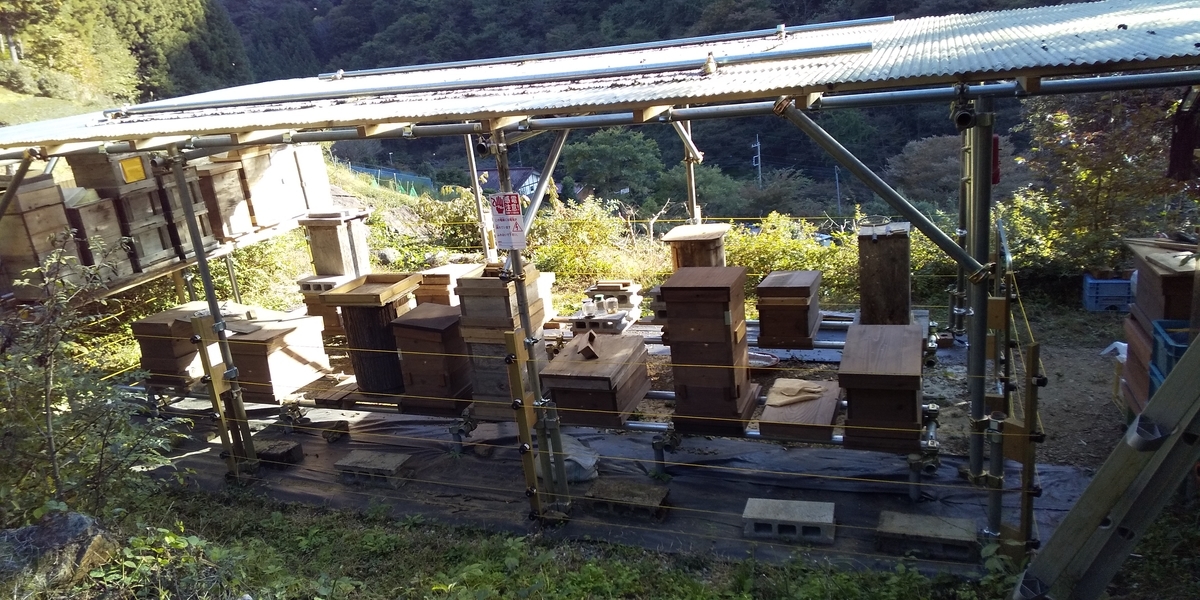 f:id:ponsuke_tarou:20201102081012j:plain f:id:ponsuke_tarou:20201102081012j:plain