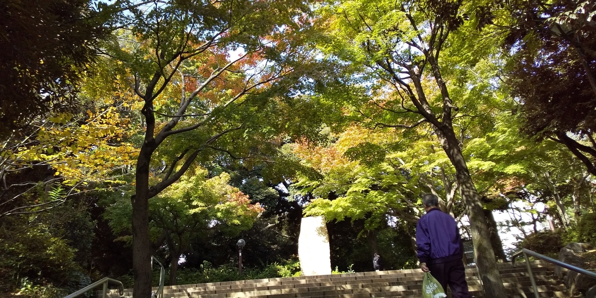 f:id:ponsuke_tarou:20201102084436j:plain f:id:ponsuke_tarou:20201102084436j:plain