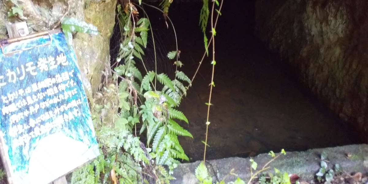 f:id:ponsuke_tarou:20201103215010j:plain