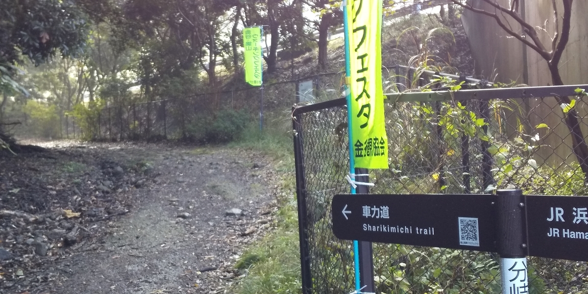 f:id:ponsuke_tarou:20201103215111j:plain