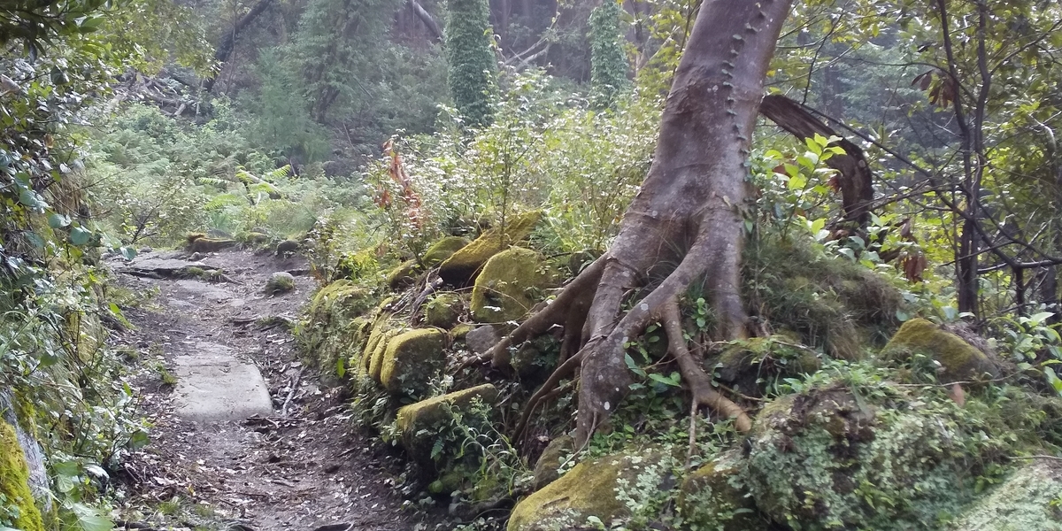 f:id:ponsuke_tarou:20201103215301j:plain