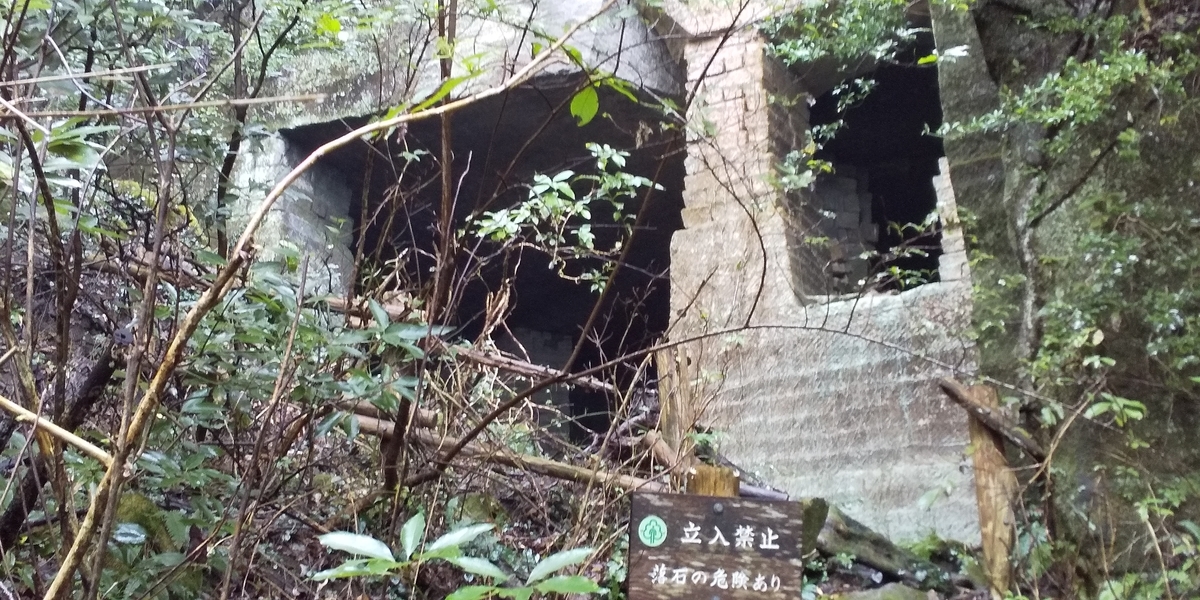 f:id:ponsuke_tarou:20201103215405j:plain