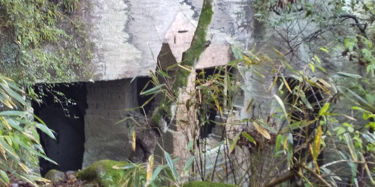 f:id:ponsuke_tarou:20201103215452j:plain