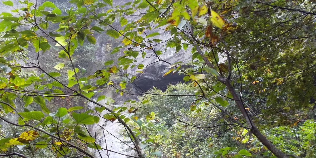 f:id:ponsuke_tarou:20201103215714j:plain