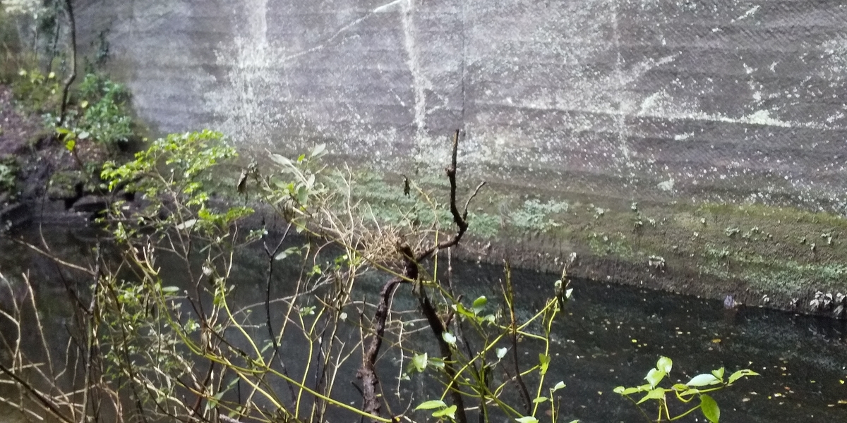 f:id:ponsuke_tarou:20201103215834j:plain