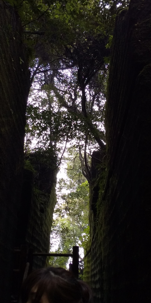 f:id:ponsuke_tarou:20201103215916j:plain