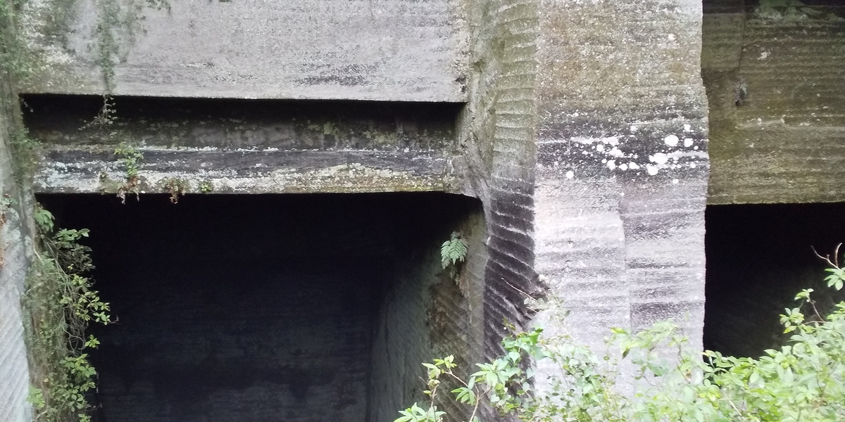 f:id:ponsuke_tarou:20201103220124j:plain