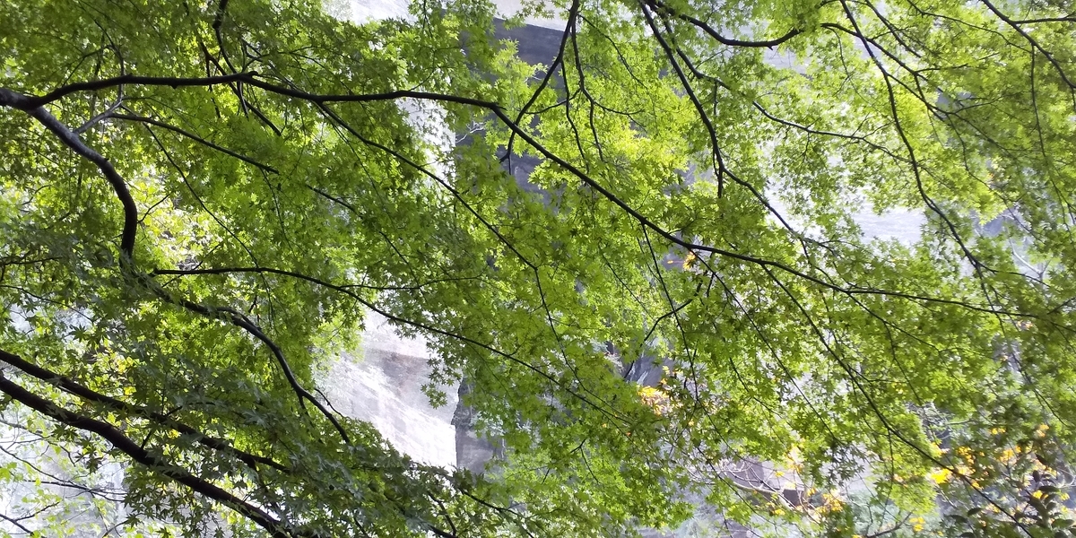 f:id:ponsuke_tarou:20201103220323j:plain