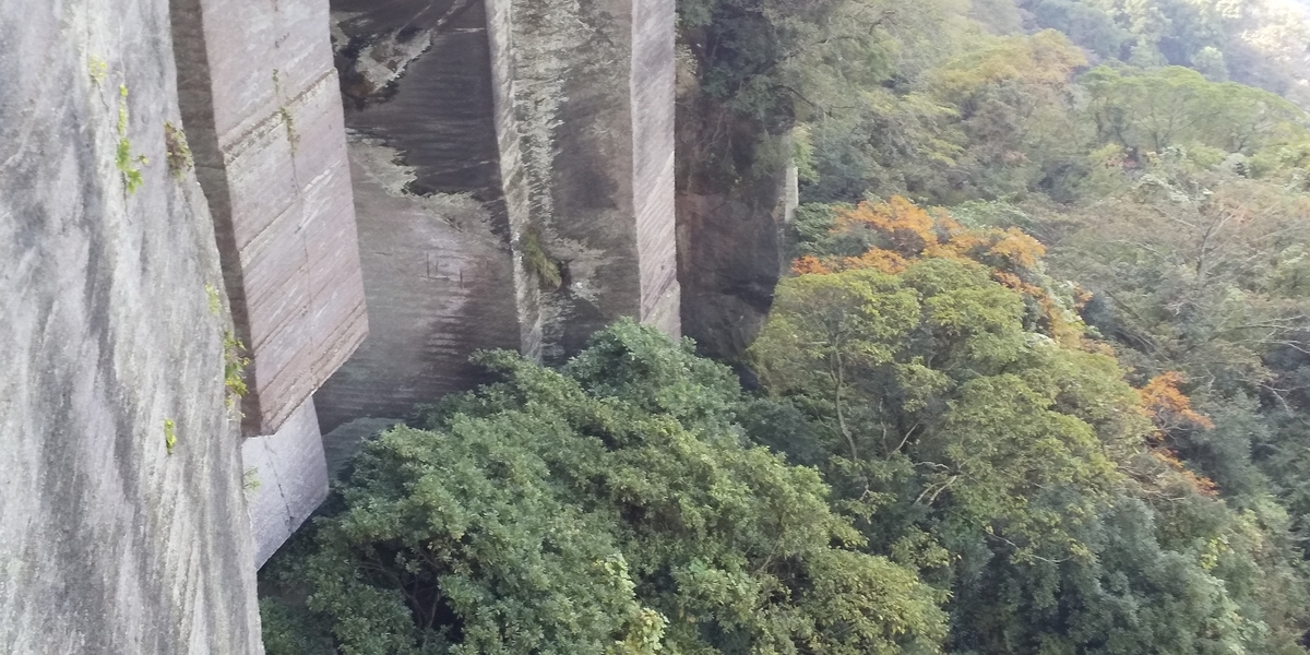 f:id:ponsuke_tarou:20201103220412j:plain