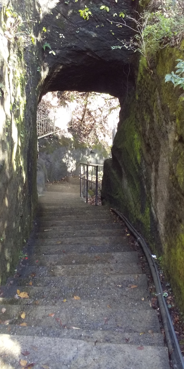 f:id:ponsuke_tarou:20201103220704j:plain