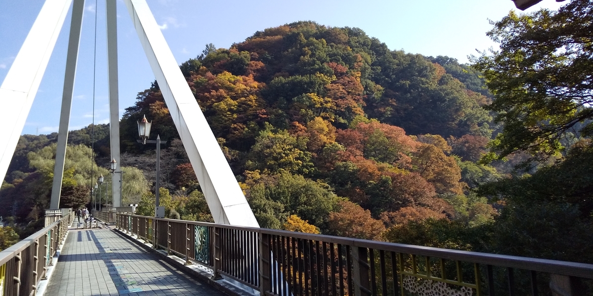 f:id:ponsuke_tarou:20201108173923j:plain