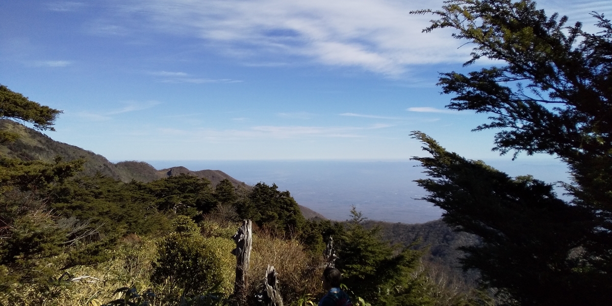 f:id:ponsuke_tarou:20201124193245j:plain