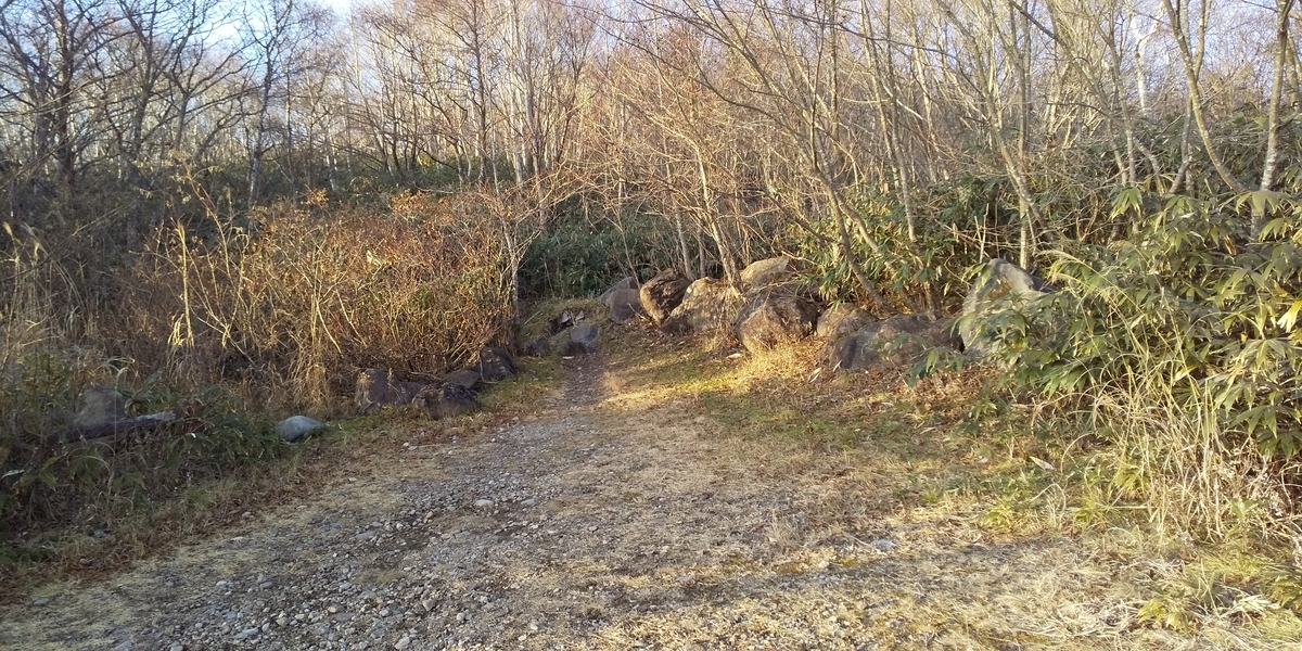 f:id:ponsuke_tarou:20201124193348j:plain