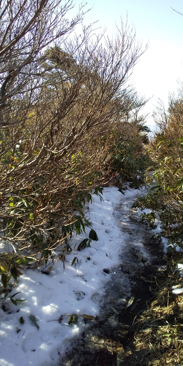 f:id:ponsuke_tarou:20201124193756j:plain