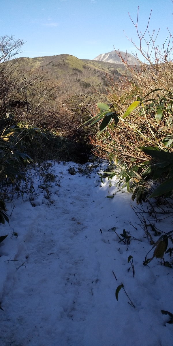 f:id:ponsuke_tarou:20201124193824j:plain