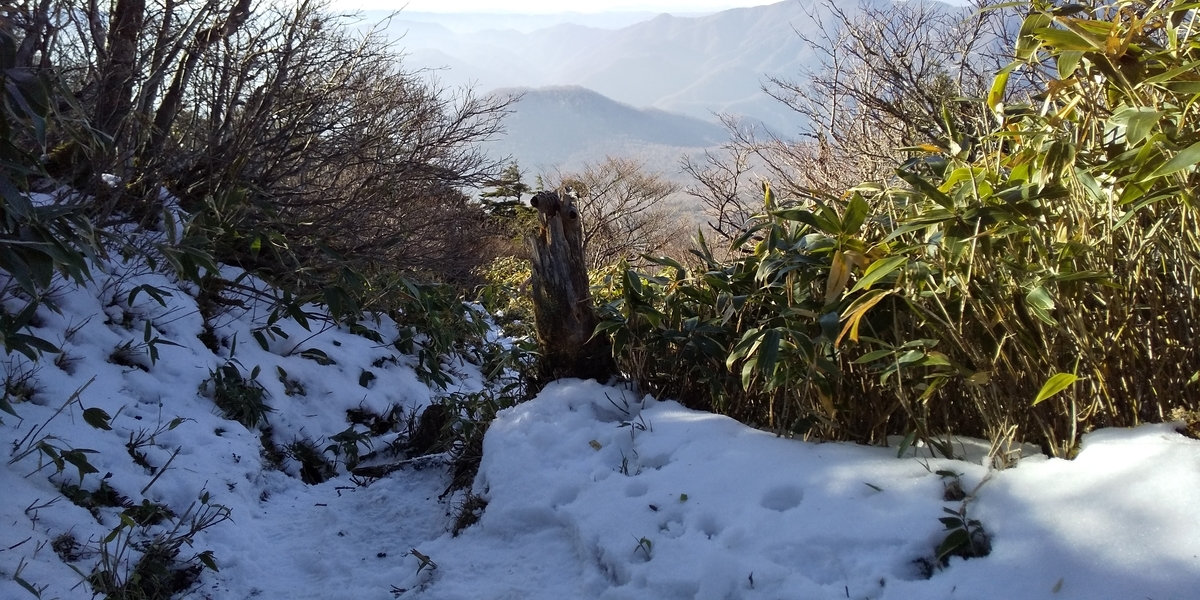 f:id:ponsuke_tarou:20201124193850j:plain