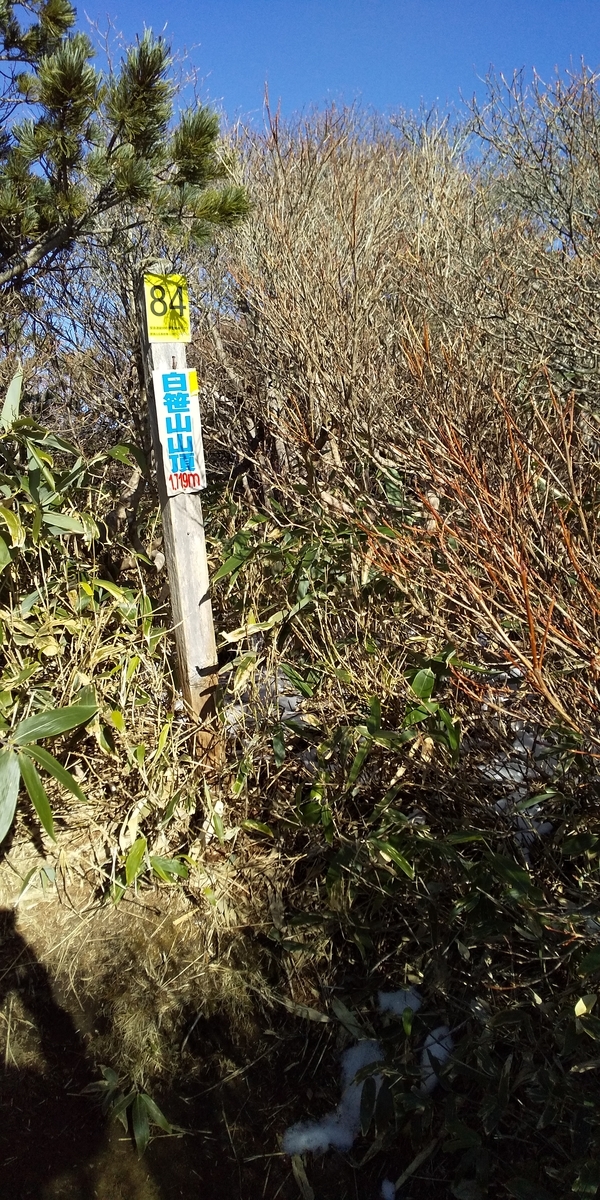 f:id:ponsuke_tarou:20201124193927j:plain