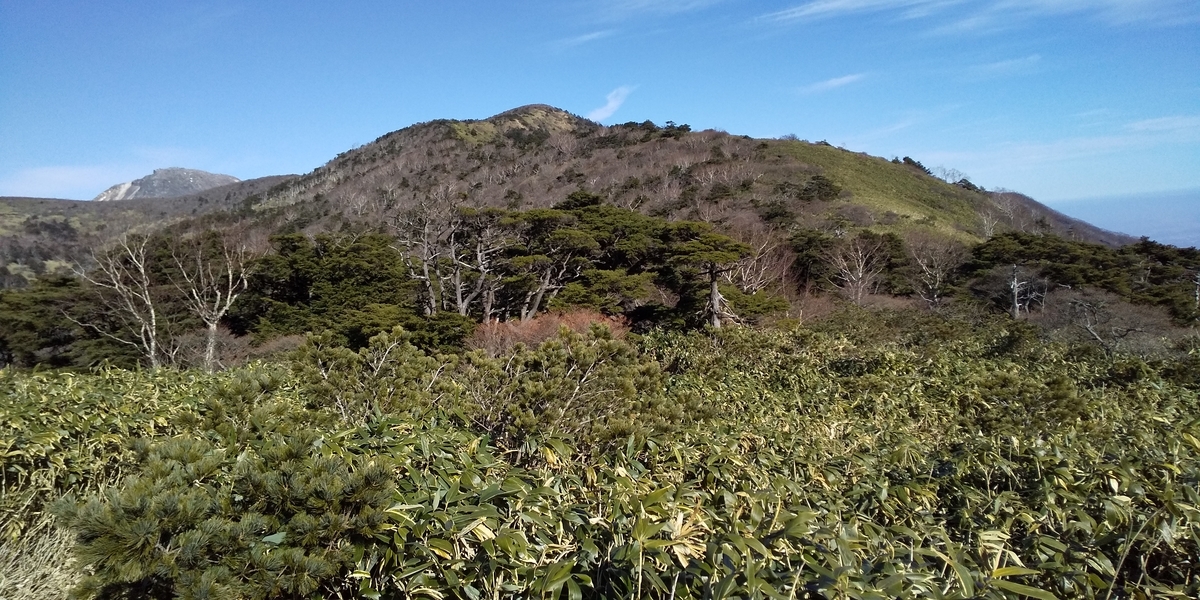 f:id:ponsuke_tarou:20201124194153j:plain