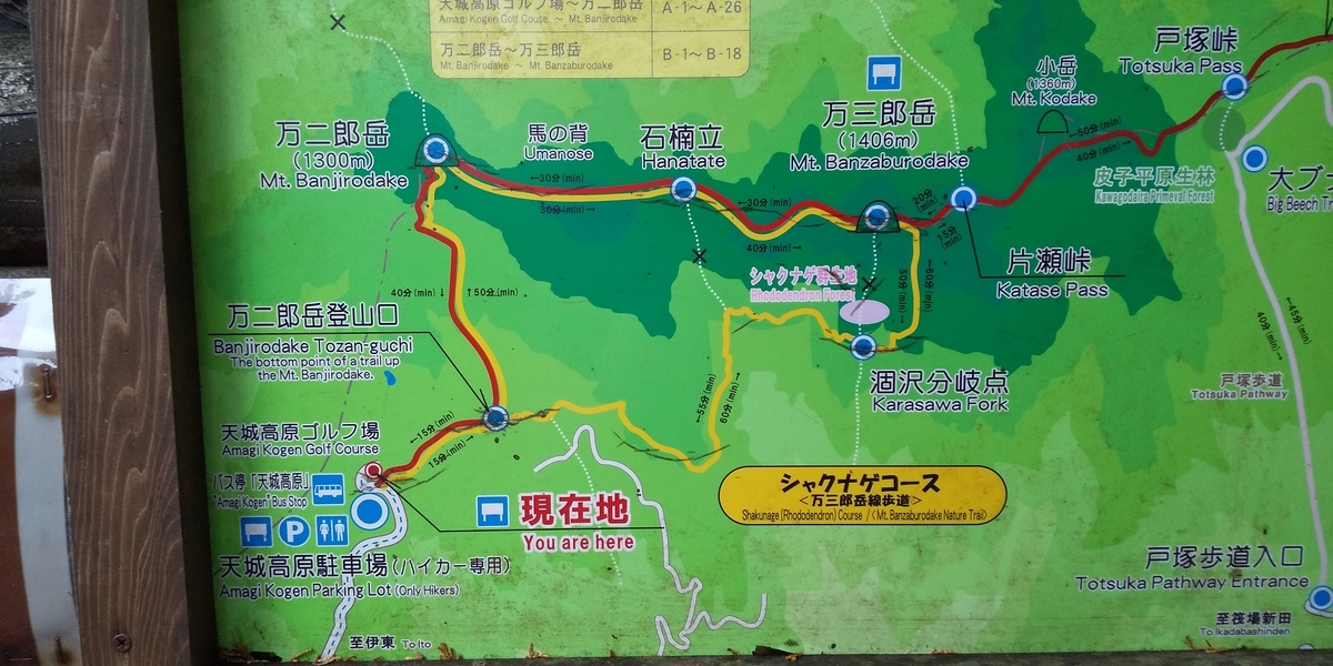 f:id:ponsuke_tarou:20201124202056j:plain