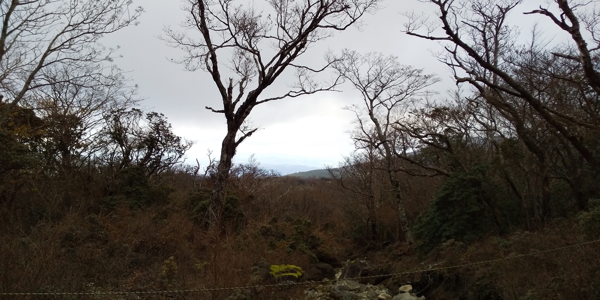 f:id:ponsuke_tarou:20201124202227j:plain