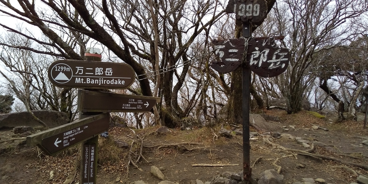 f:id:ponsuke_tarou:20201124202247j:plain