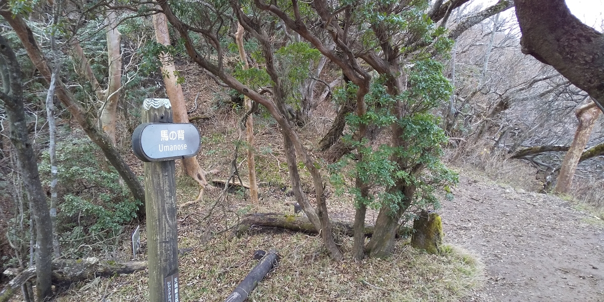 f:id:ponsuke_tarou:20201124202455j:plain