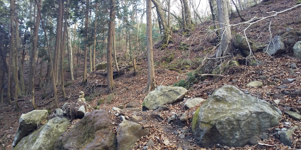 f:id:ponsuke_tarou:20201124203705j:plain