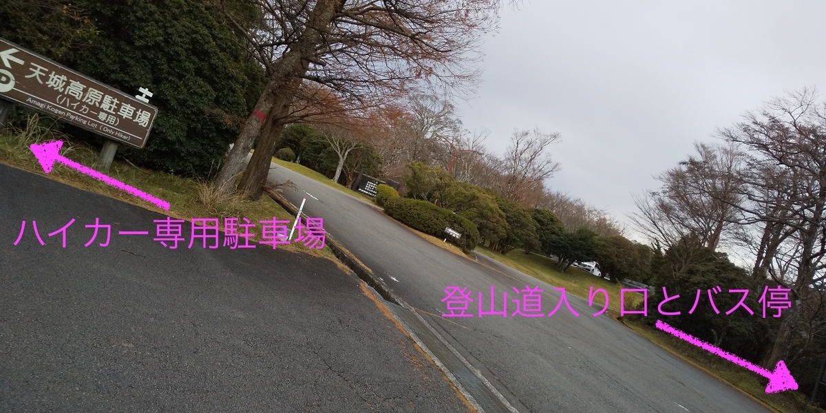 f:id:ponsuke_tarou:20201124203809j:plain