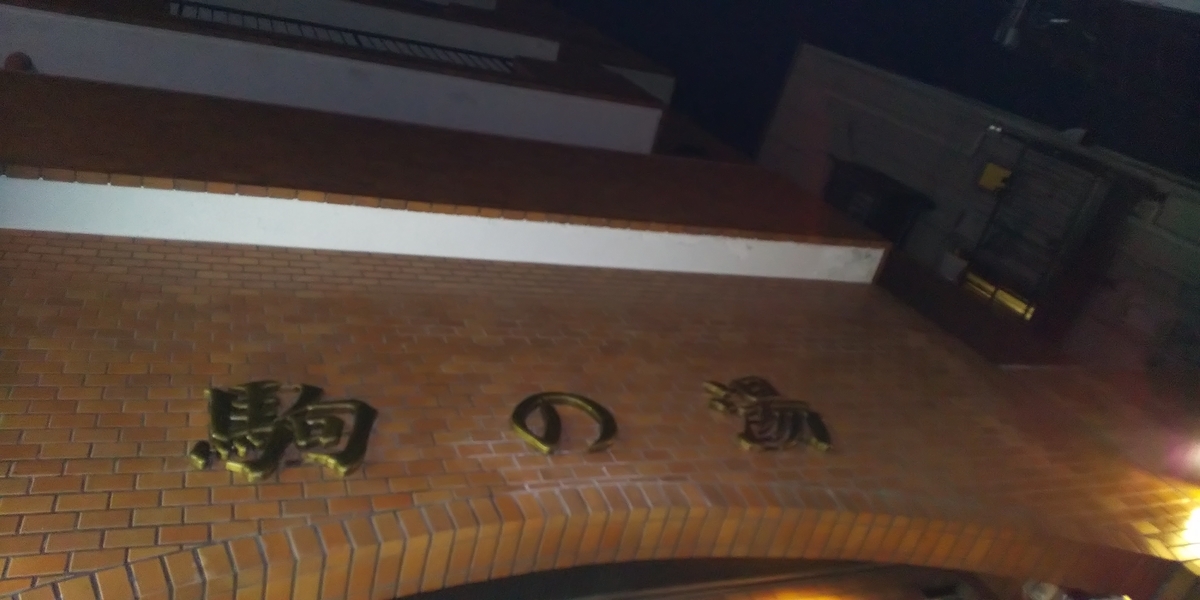 f:id:ponsuke_tarou:20210121084324j:plain