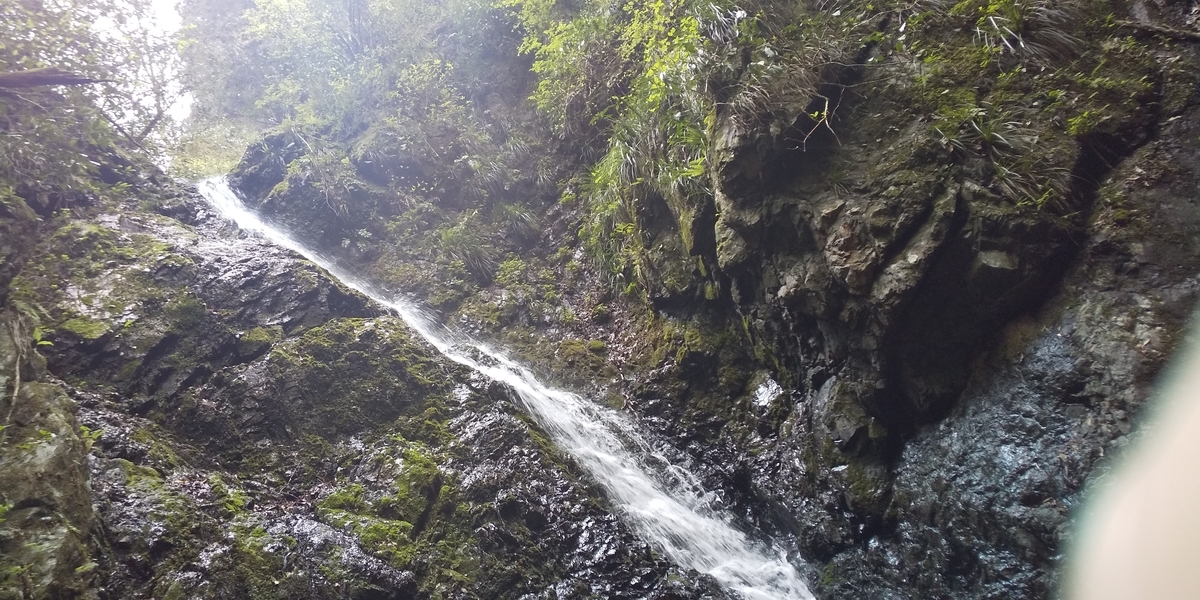 f:id:ponsuke_tarou:20210407234800j:plain